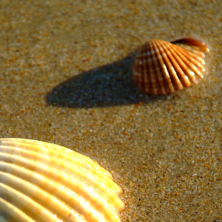 Hotel Casa Grande Zahara de los Atunes Exteriér fotografie